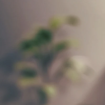 ゆ が ん だ  I  、 ♡