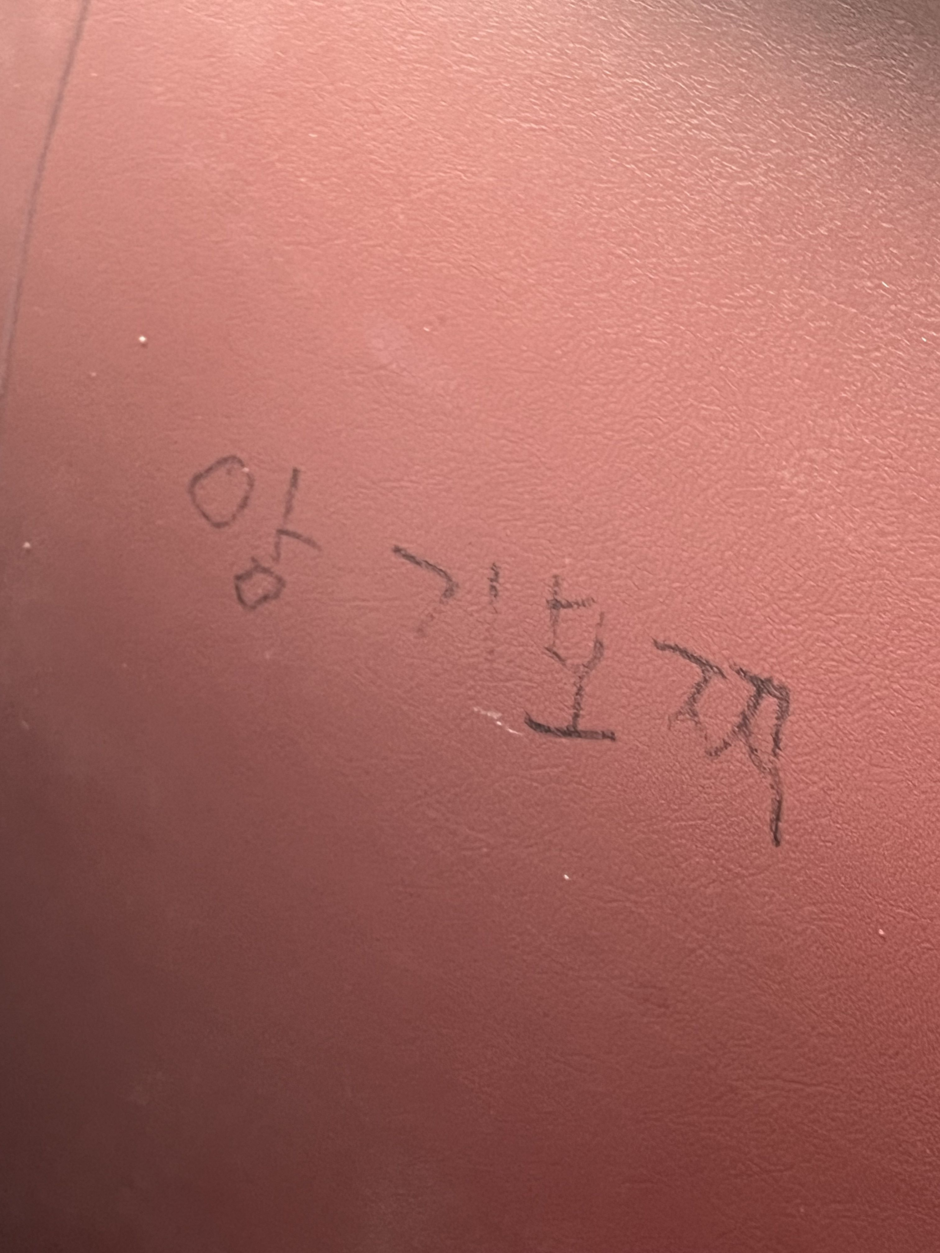 개인용 개인용(절대 하지마세요 제발) 대표 이미지