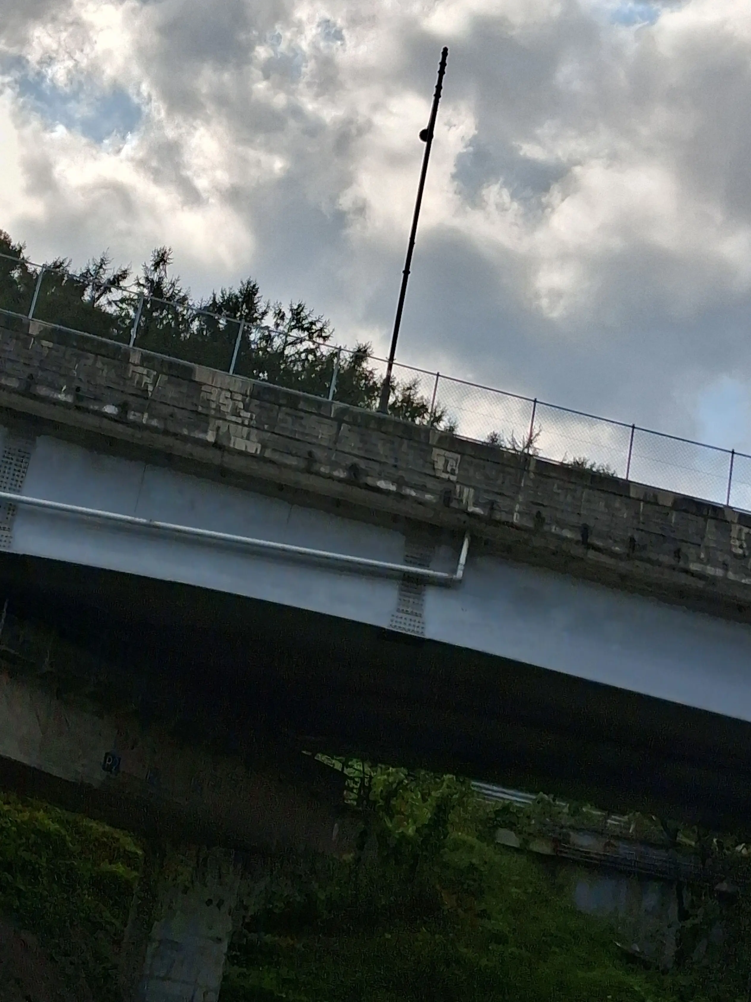 Paradaise의 라이벌