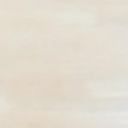 사건 파일: 성화초 배구부 실종사건