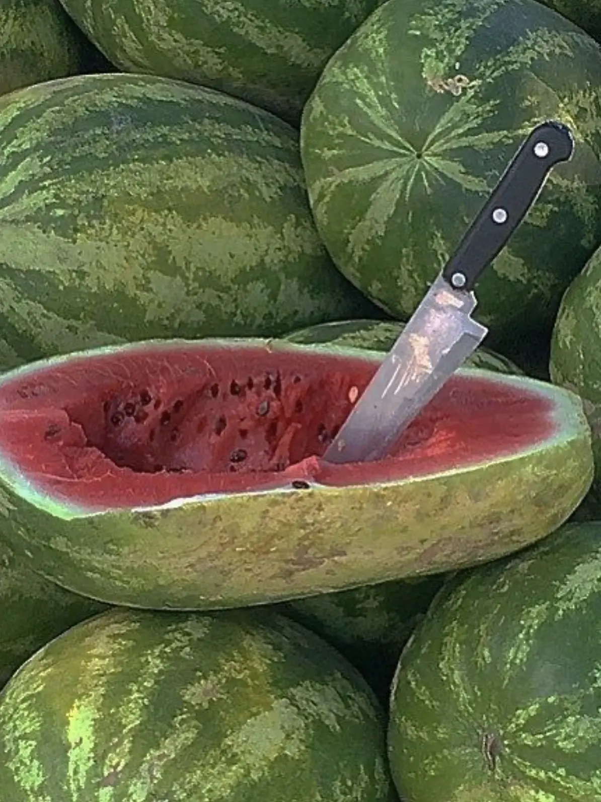 cinnamon-c의 여름, 여름