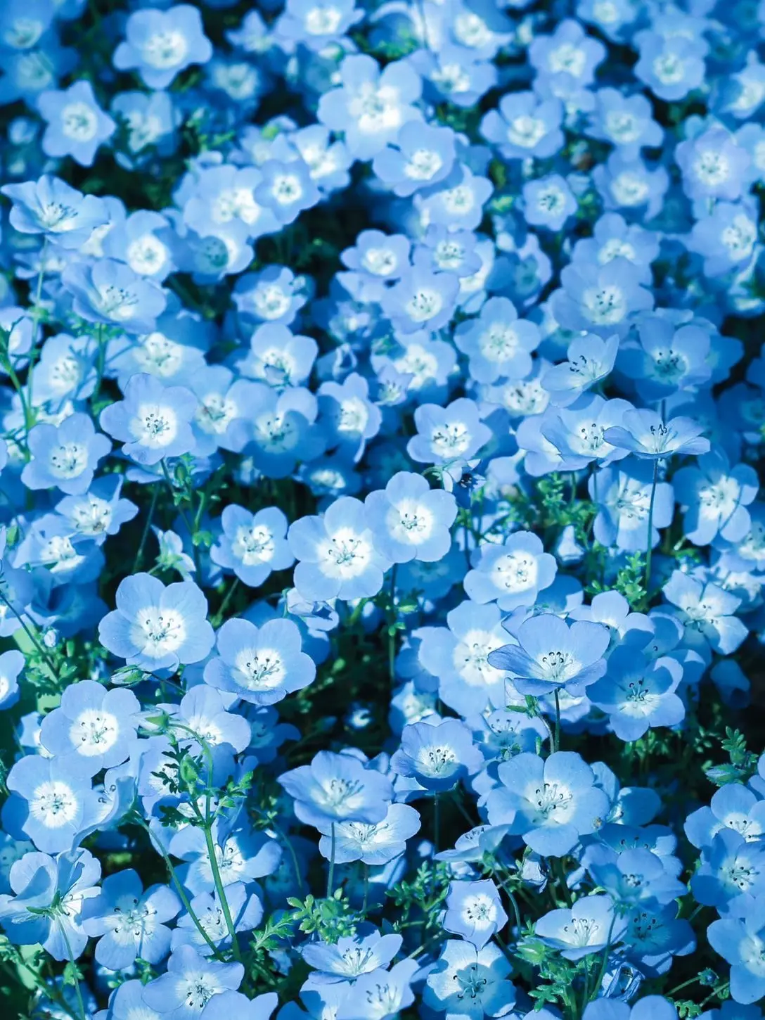 Ksjsuss의 ˚✧₊❝᷀⁺˳✧