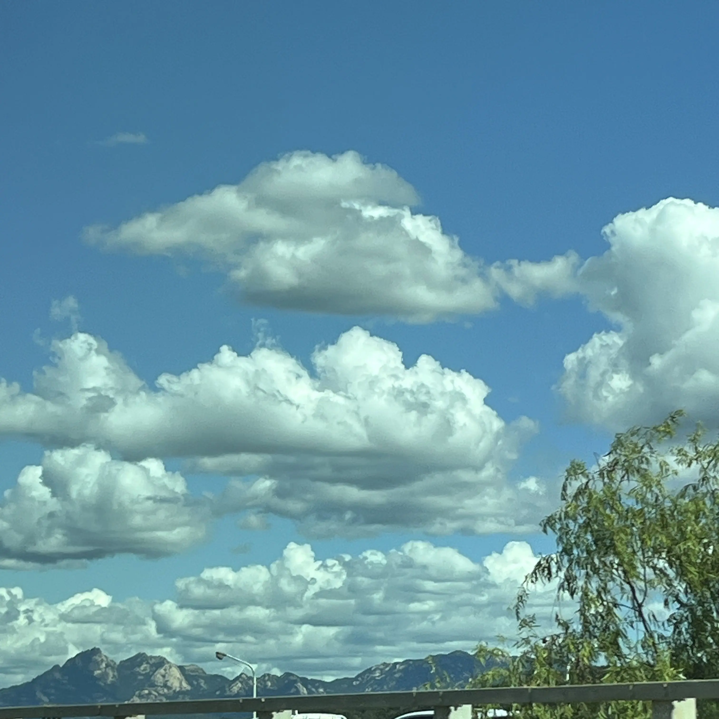 whalelover0106의 時透 無一郎