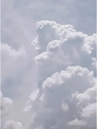 to.Latte의 뜰팁 아이돌