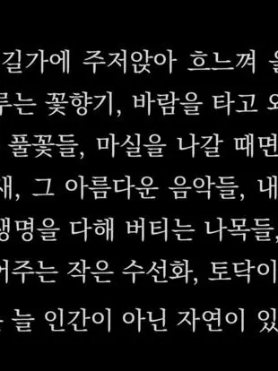 CruelLoss0920의 무명찬란교의 그 분이 오셨다