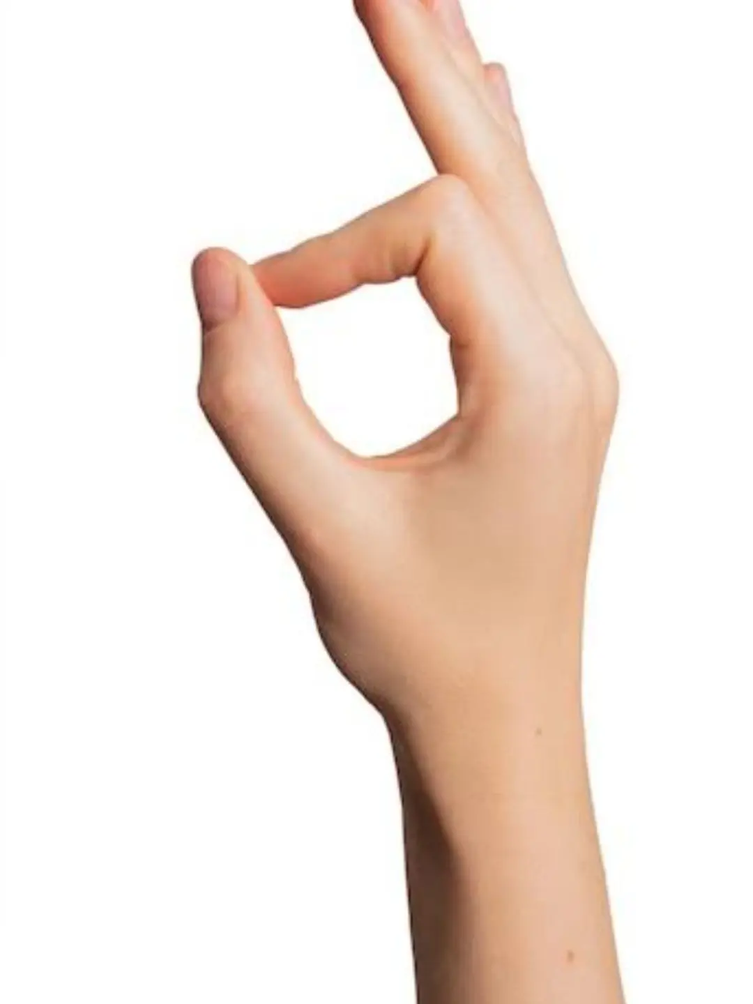 Hwgsgsgegsg의 모두가 당신을좋아한다