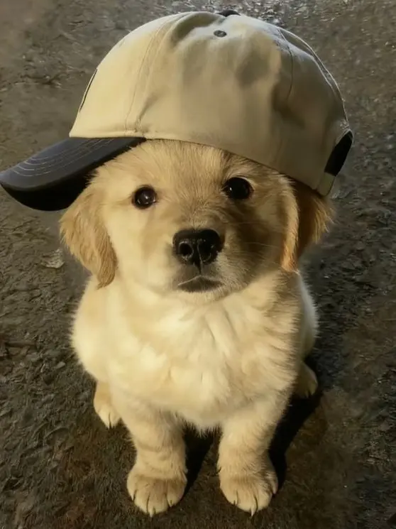 ReAlLyLikEyOU의 김지우