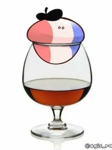 211JPpalau의 連合枢軸シェアハウス！