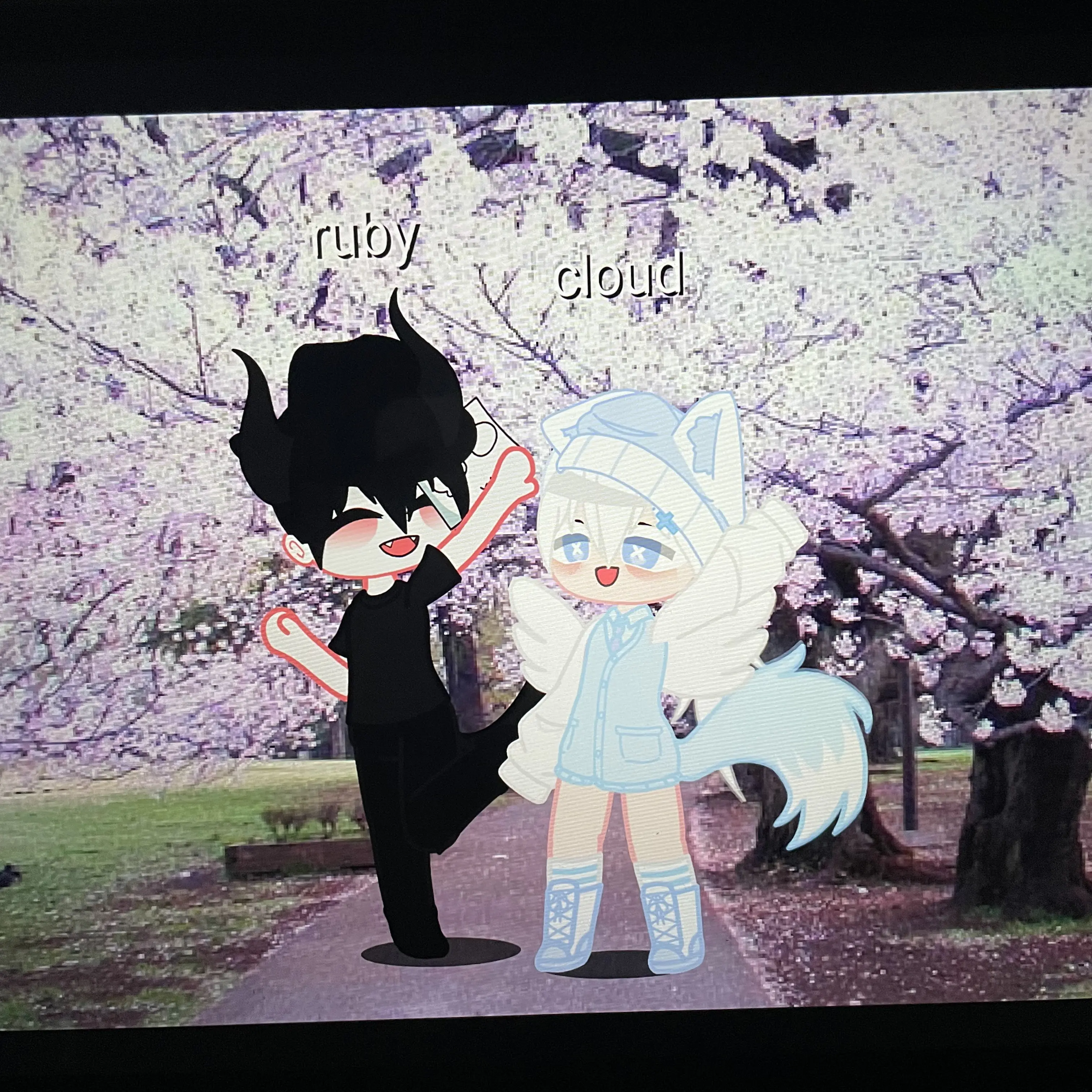 happy_cloud의 구름과 루찌의 입양하세요!