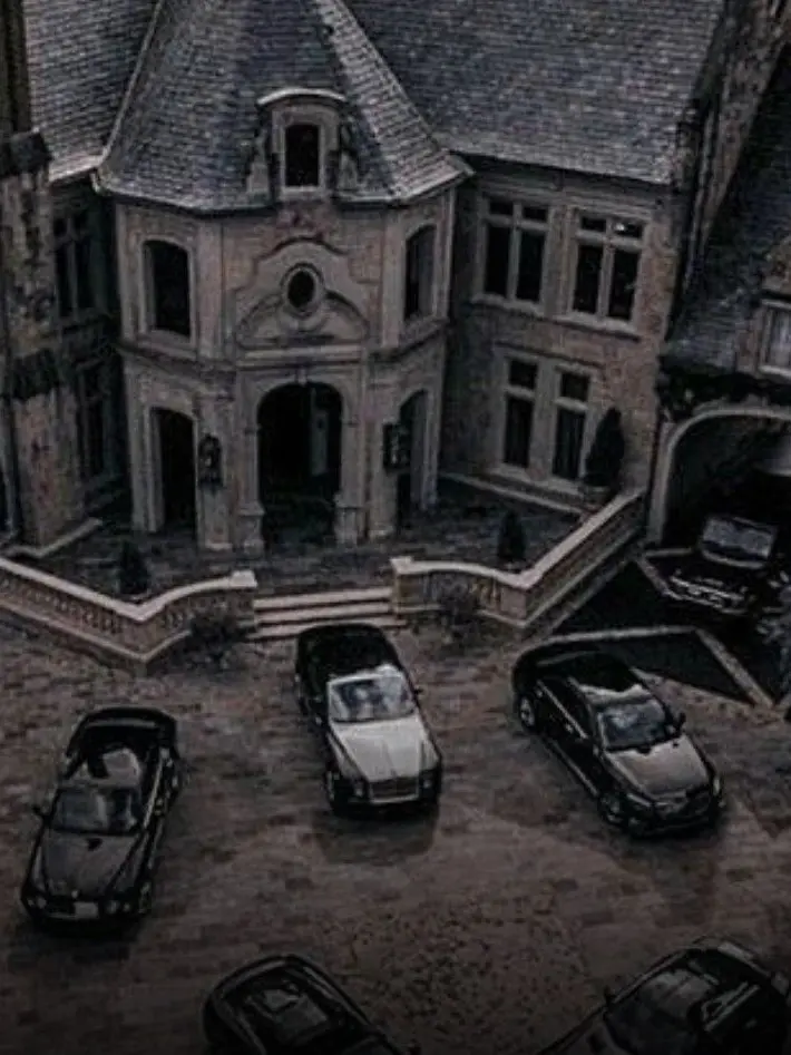 IronicApe4392의 Mafia family