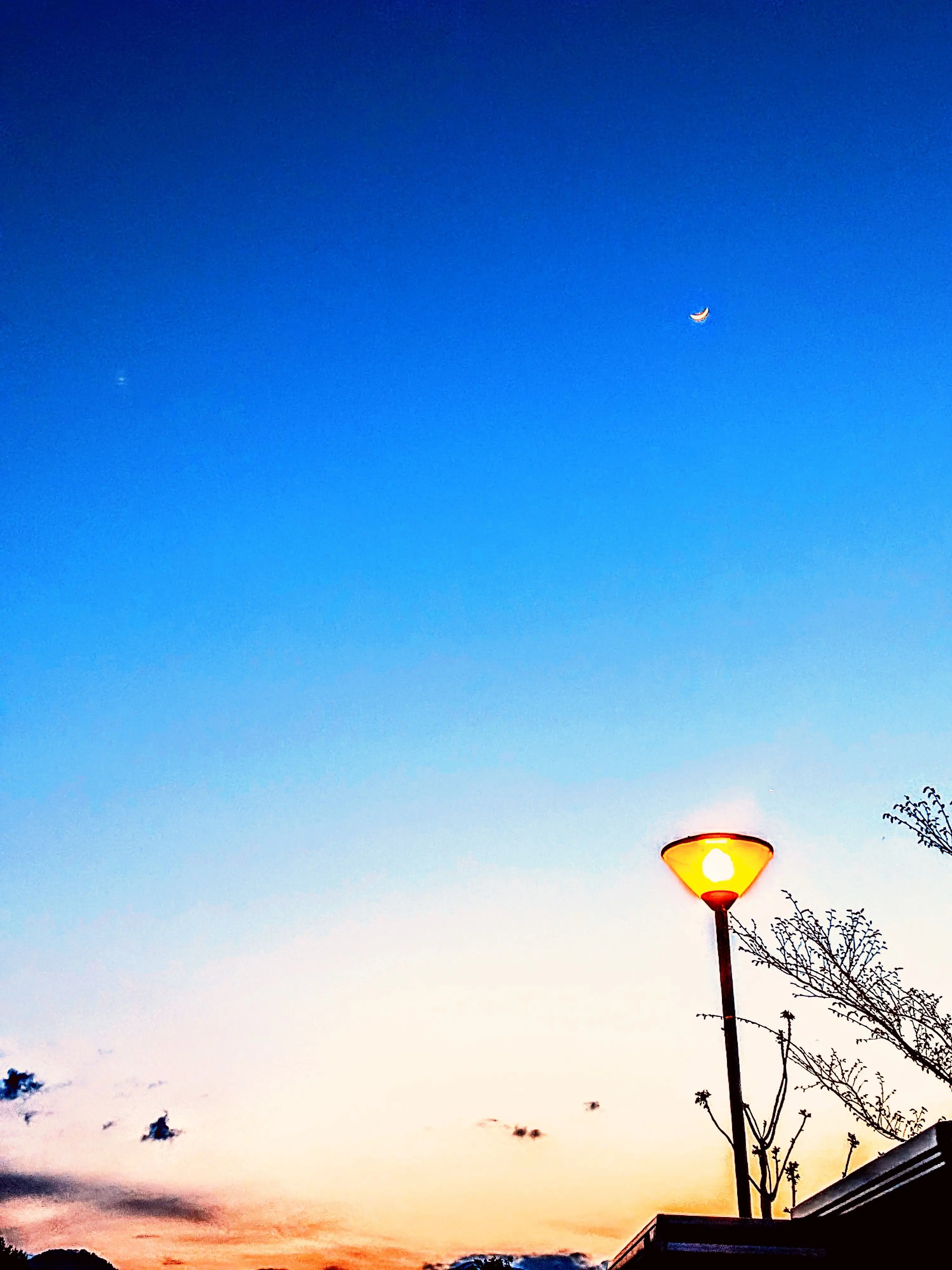 Kemuri_777_의 弓道部の先輩