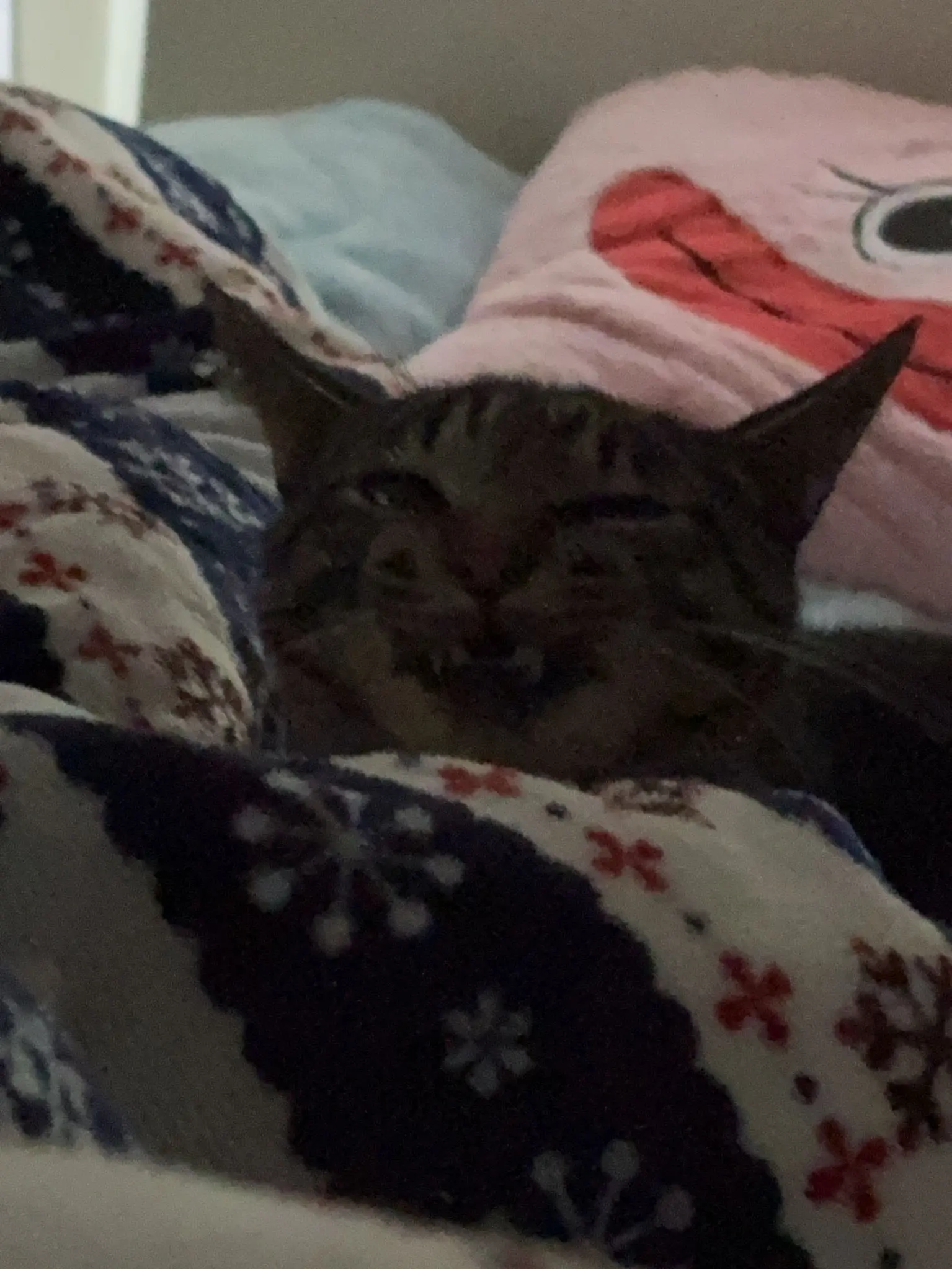 FluffyShop6723의 (   ᐛ)ﾊﾞﾅﾅ