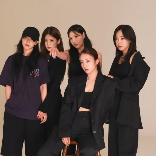 DecentPumi6369의 에이핑크 조직