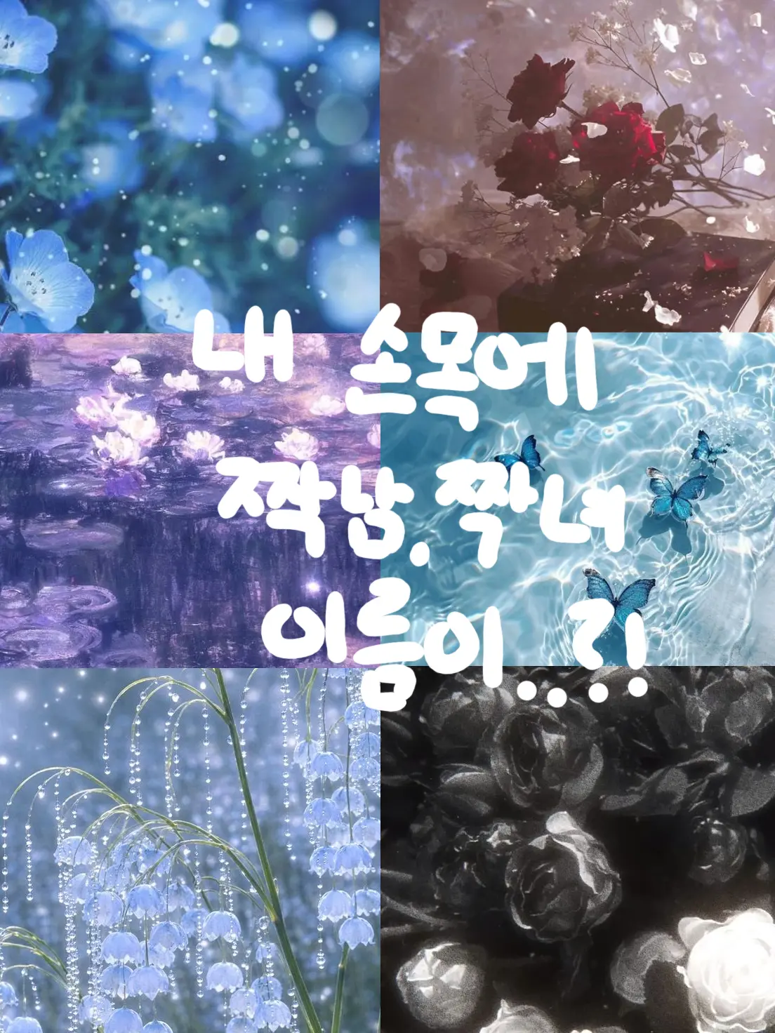 Chae_Ha_rin의 내 손목에 짝남, 짝녀 이름이..?!