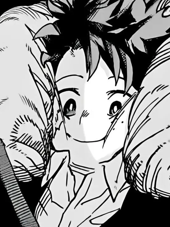 The_MHA_FanNumber1의 MHA Timeskip