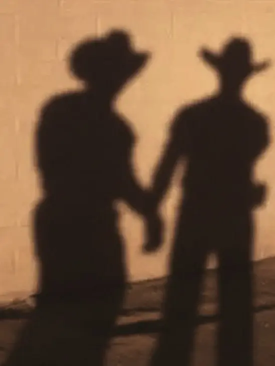 vimris의 🐴༘⋆ | Two Cowboys