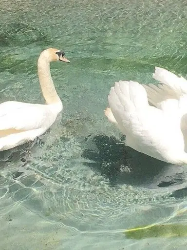 Blanked.love의 9011