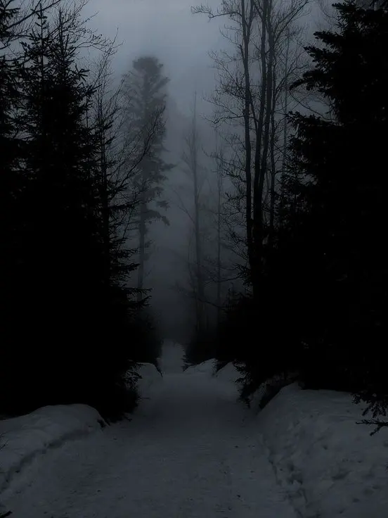 Isitthesameeverytime의 |The Huntress|