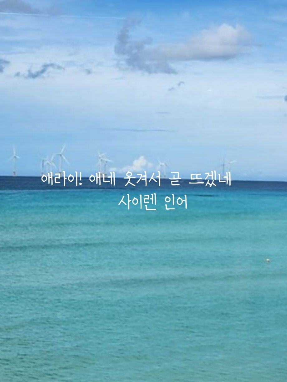 에라이! 사이렌 인어 대표 이미지