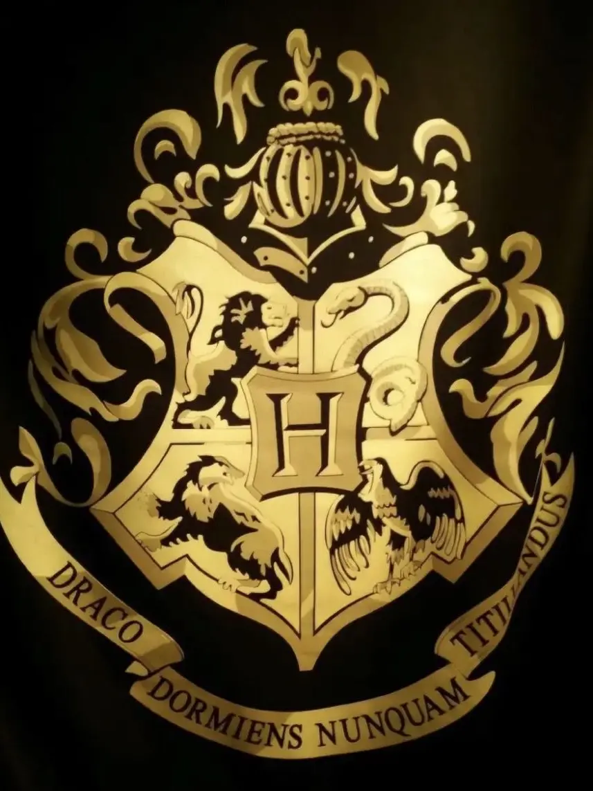 LowZoo9604의 🪄Harry Potter💗