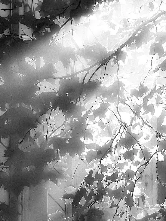 yyyyyyyyou의 자몽살구클럽