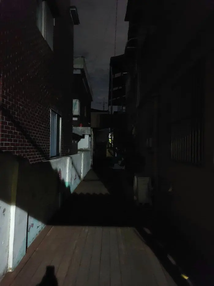 Lizeismywife의 세 걸음 뒤