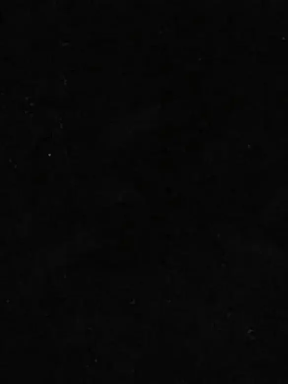 BasicLight1242의 私は妊娠している…
