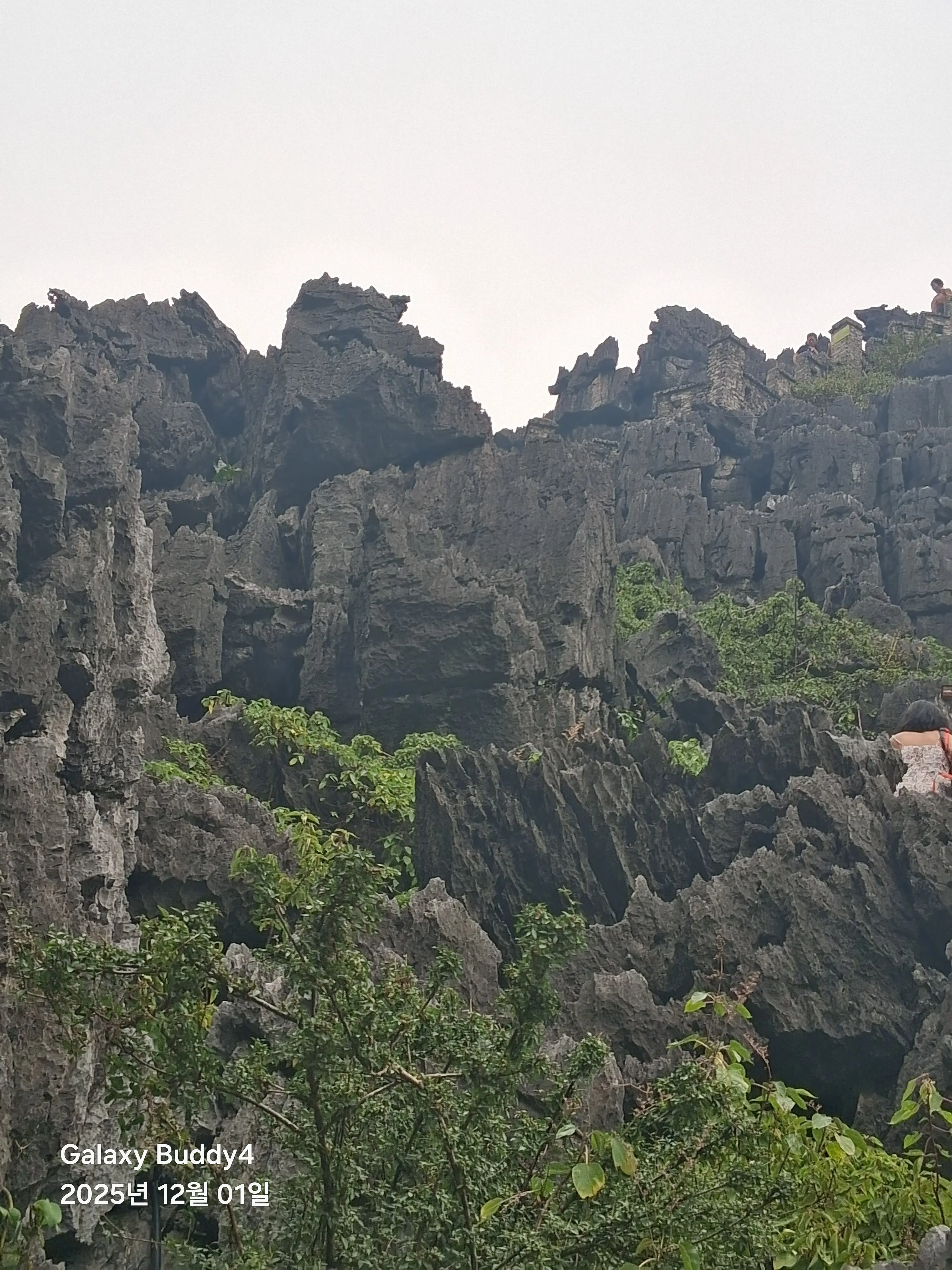 QuirkyStone8032의 미스터리 수사반