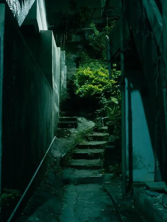 Cushuka의 悲戀