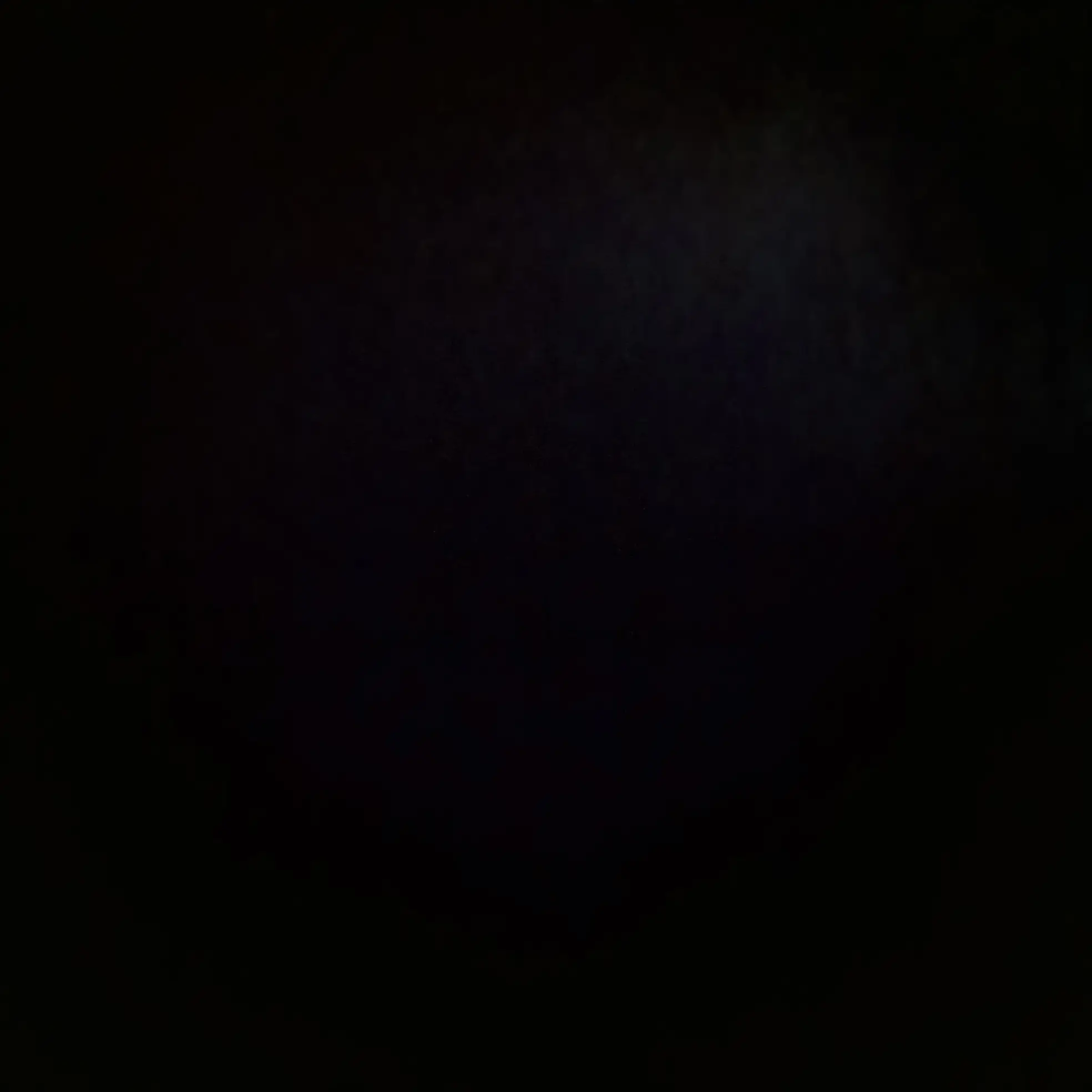 RoomyHost0281의 일본인 남친