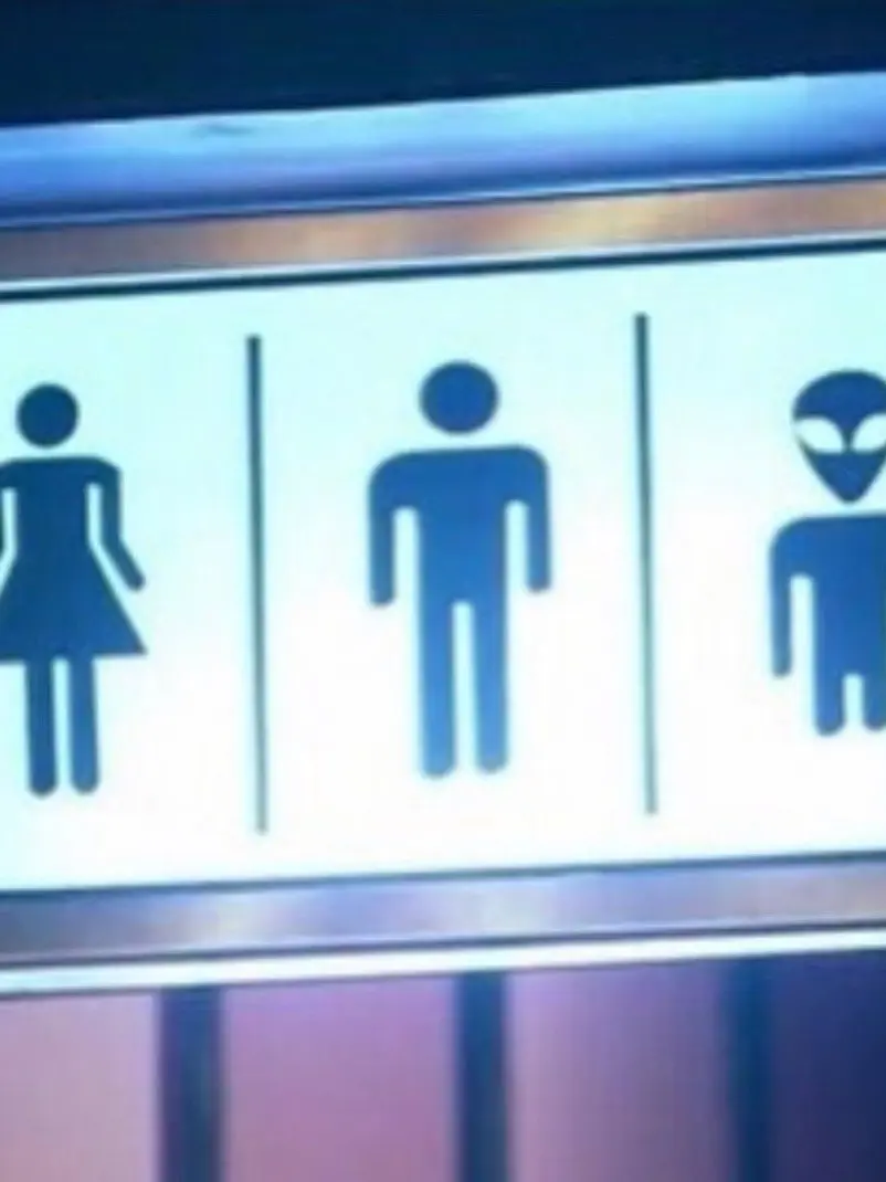 TrendyBrain1840의 사랑은 어디로 향하나