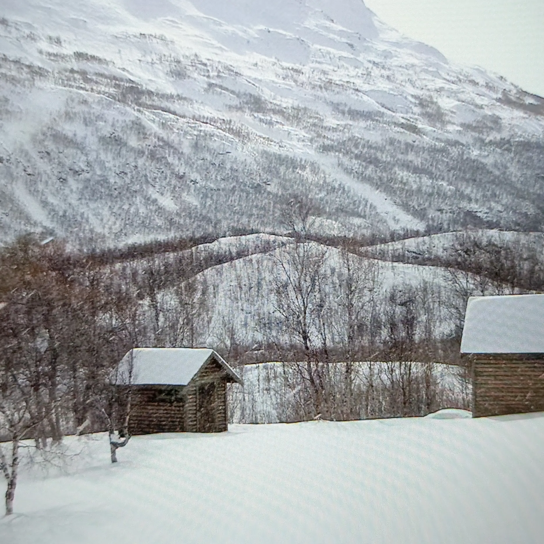 YUMMYpigsfeet의 処刑山