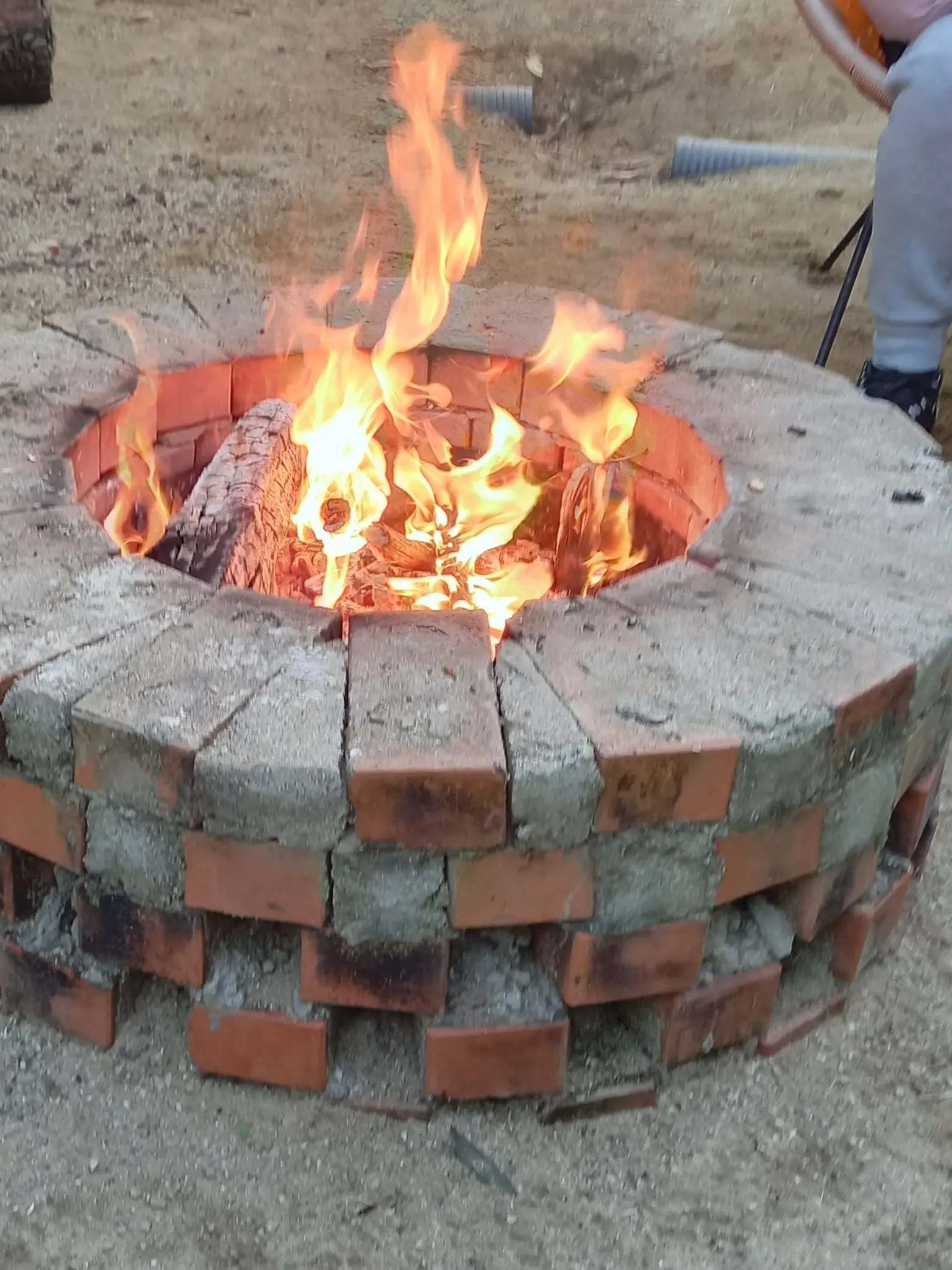 sunguisveryhard의 꽥꽥탐험대 줄넘기 학원+여우