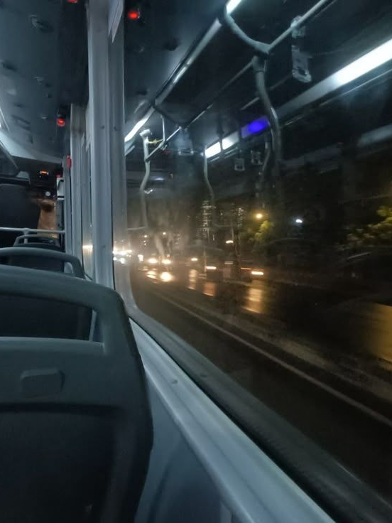 팀나빠 수학여행 + 늑대 +여우 추가 대표 이미지
