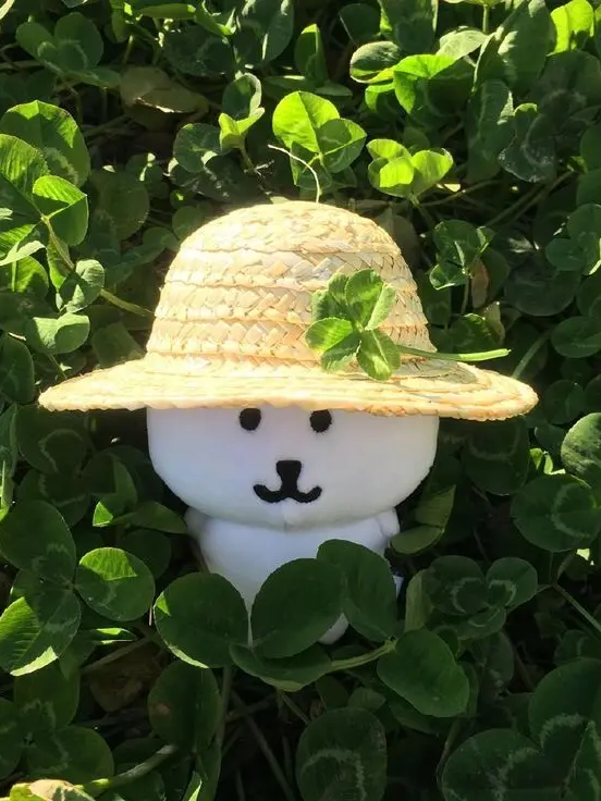 jannabi_fan의 [BL] 유 담