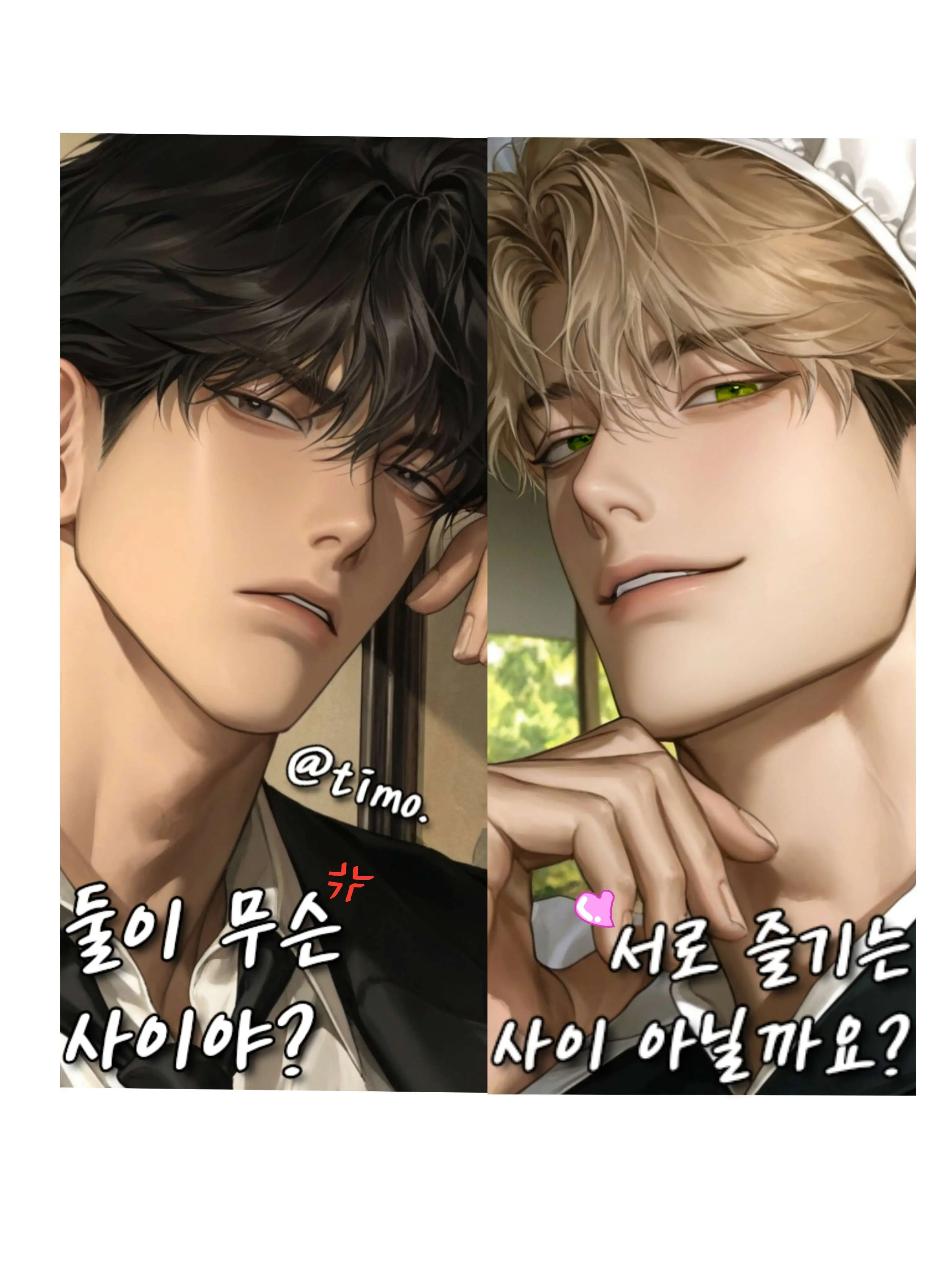 timo.의 아내의 선택은?