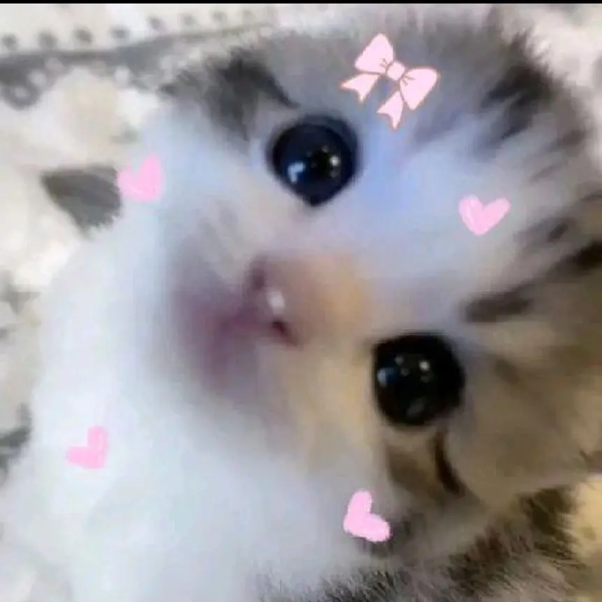 ˚₊‧꒰ა 팀나빠 ໒꒱ ‧₊˚ 대표 이미지