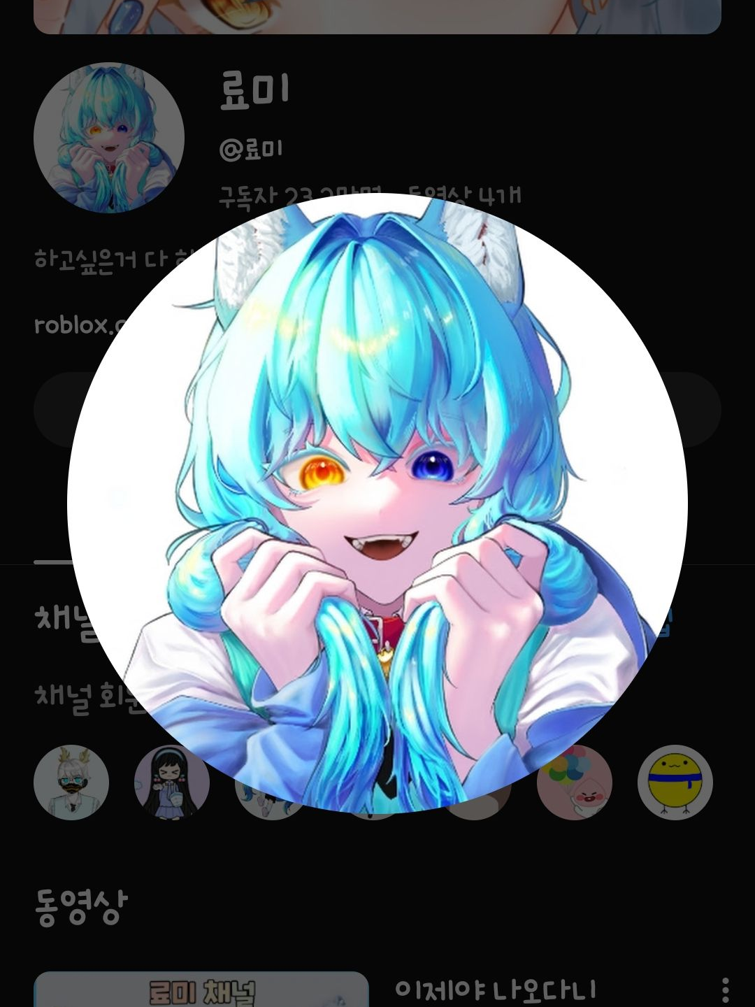 현이머와 료미와 싸웠다 팀모빌 대표 이미지