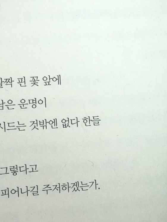 낙화유수 대표 이미지