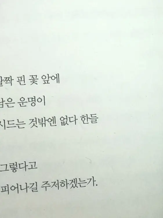 Kiraizuru의 낙화유수