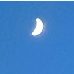 何にもしてないのに溺愛されてる件について