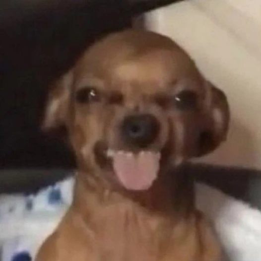 一目惚れしたボーイ>:)ユーは店員設定…