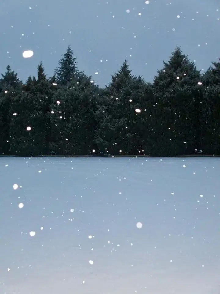Tani0721_orange의 初雪のように君へ行く。