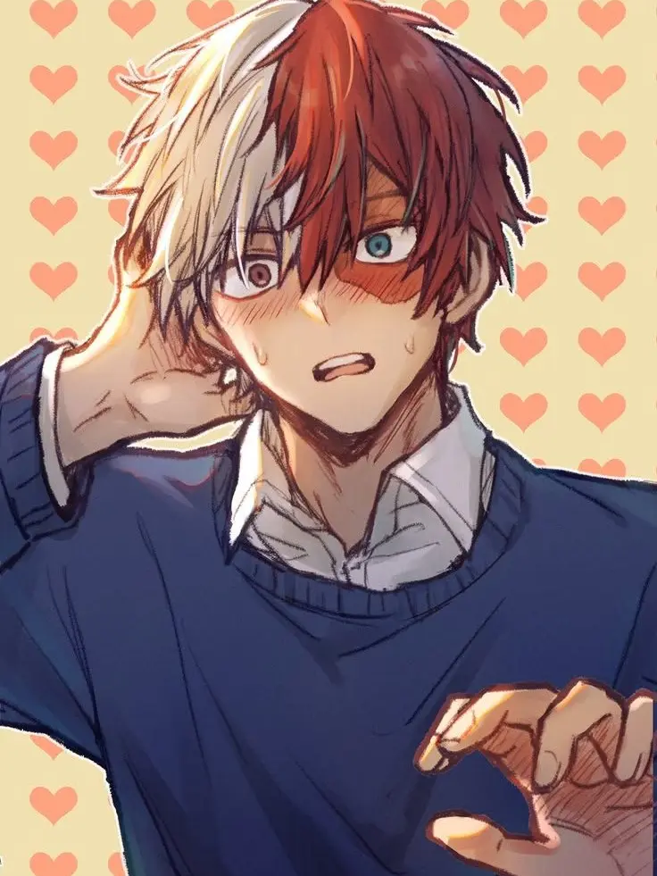Novachanz의 Shoto Todoroki