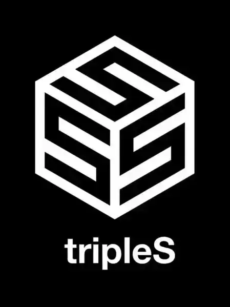 ID_TN의 tripleS의 싸움