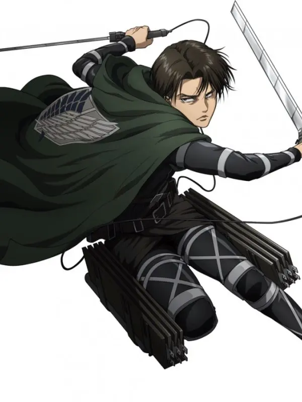 coco6767hj의 리바이 부상