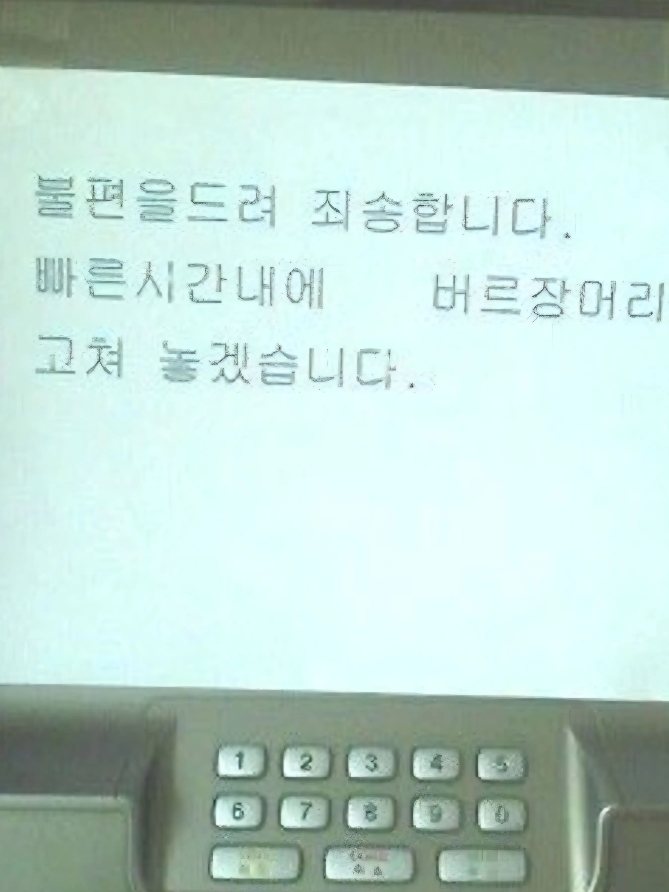 GlassBilby9273의 토끼가 저리 커도 되는 건가요..