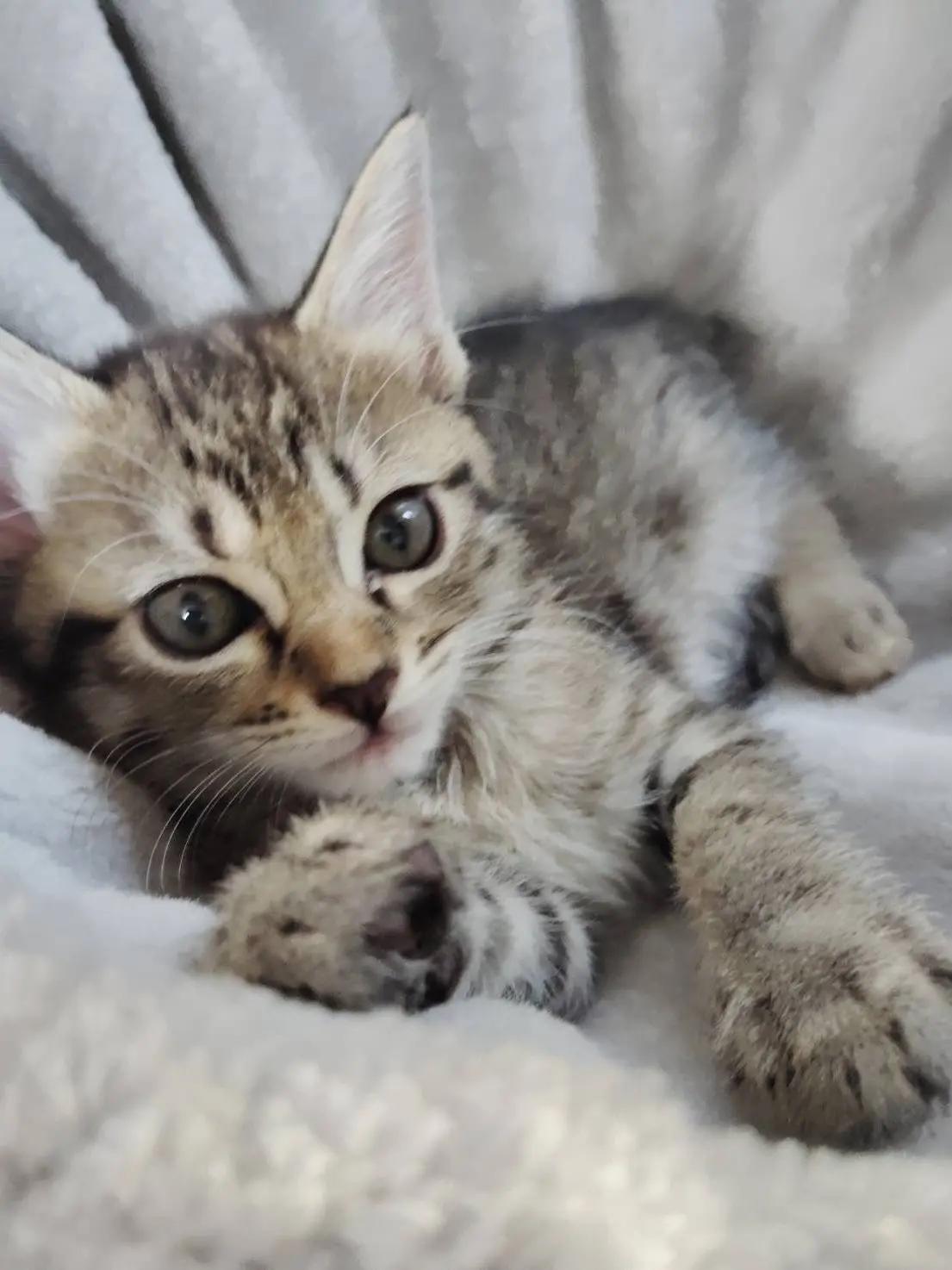 GlassRate8829의 ジヨンとあなたの関係とは！？