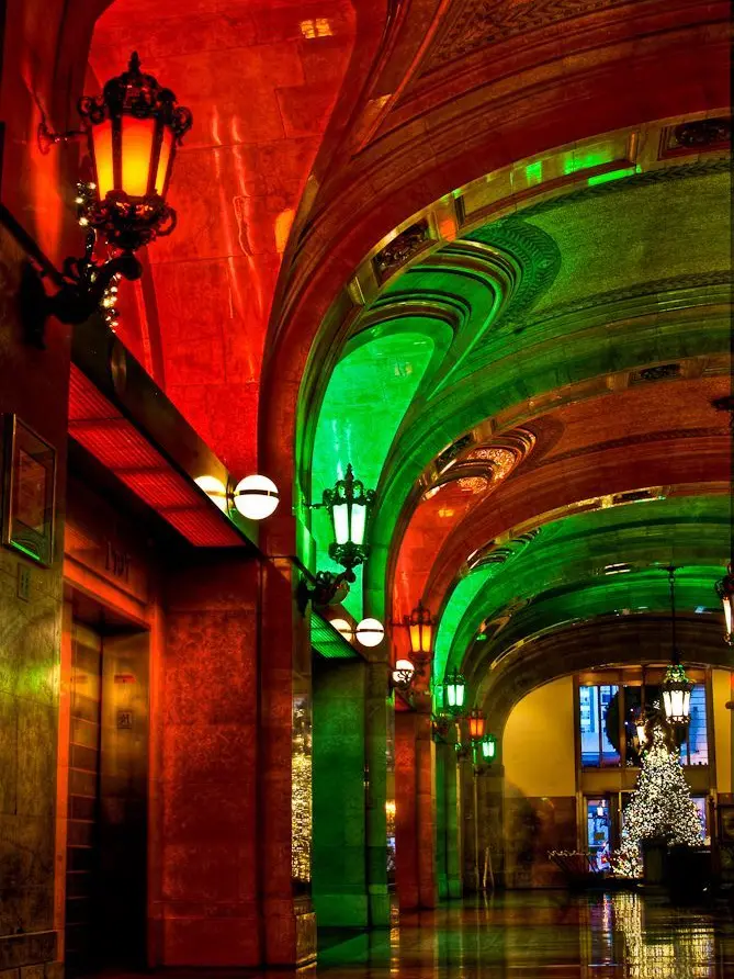 SUHYEN_day의 서라더 | 정공룡