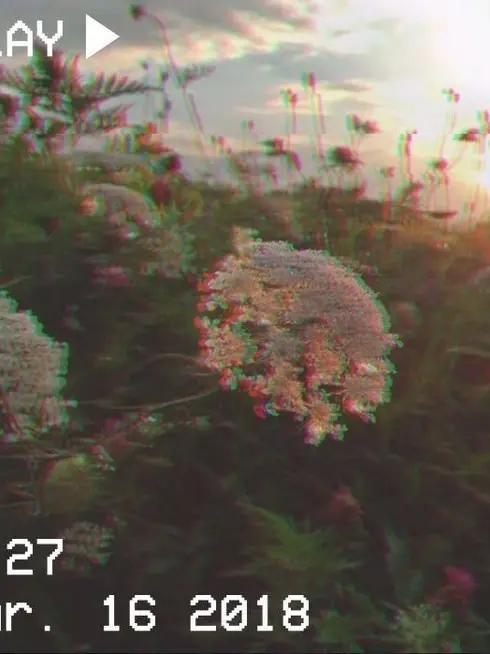 Gross0309의 元貴族の君